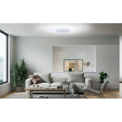 LEDシーリングライト パネルライト 調光調色8畳 アイリスオーヤマ[53753105]