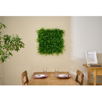 DECO GREEN ウォールパネル アジアンタム 3個セット アイリスオーヤマ[53752995]