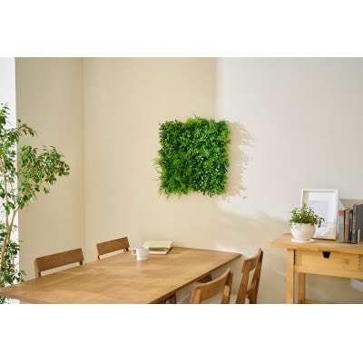 DECO GREEN ウォールパネル アジアンタム 3個セット アイリスオーヤマ[53752995]