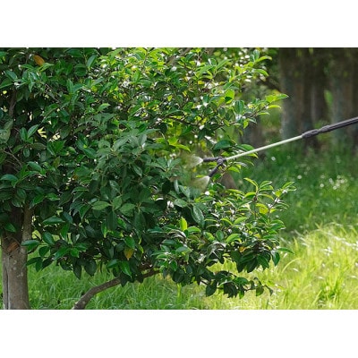 電池式噴霧器 ツインノズル ダークグレー 4L アイリスオーヤマ[53752930]