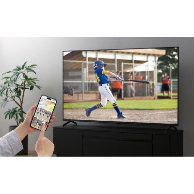 65V型 4Kスマート液晶テレビ LT-65UGX-F1 黒　アイリスオーヤマ[53753354]