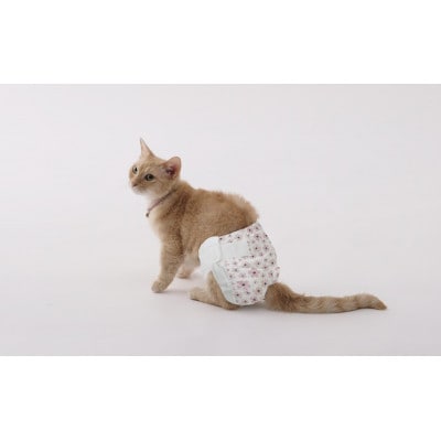 【42枚入り×6袋】ペット用おむつ ピタフィット XXS 42枚入 女の子用[53753365]