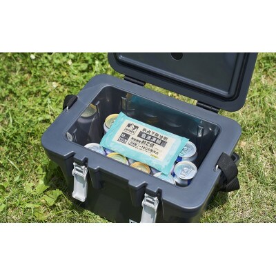 【10個セット】HUGEL氷点下保冷剤急速凍結タイプ パックMサイズ　アイリス[53753399]