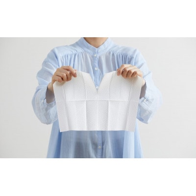 【20枚(10枚入り×2個)×12個】トルクリーン トイレクリーナー アイリス[53753328]