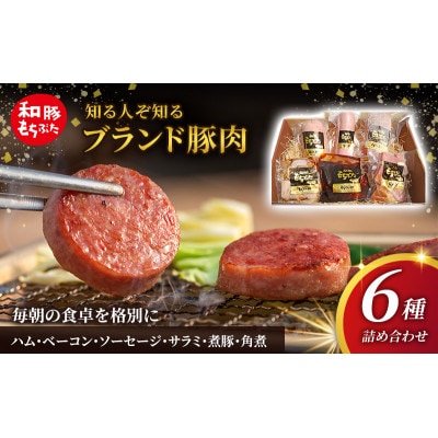 もちぶた 加工肉 6種 詰め合わせ セット[53751174]