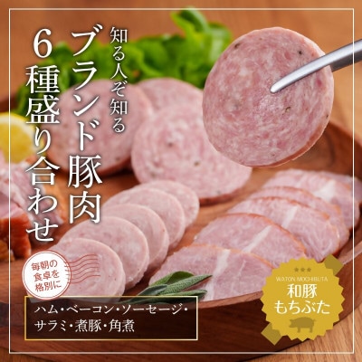 もちぶた 加工肉 6種 詰め合わせ セット[53751174]