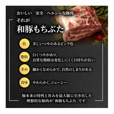 もちぶた 加工肉 6種 詰め合わせ セット[53751174]