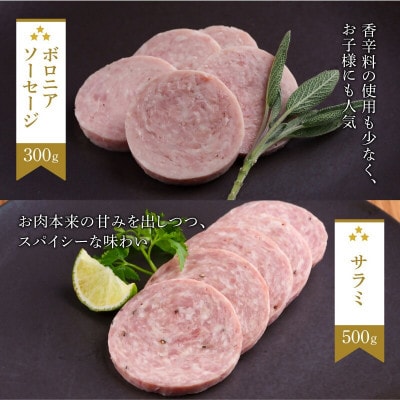 もちぶた 加工肉 6種 詰め合わせ セット[53751174]