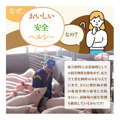 もちぶた 加工肉 6種 詰め合わせ セット[53751174]