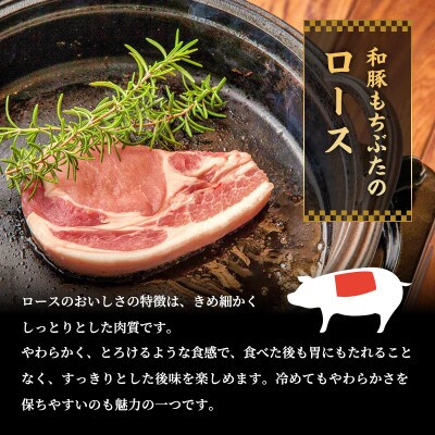 もちぶた ロース 約150g×5枚 ソテー とんかつ[53750037]
