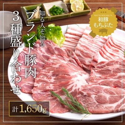 もちぶた 肩ロース 2種 各500g 詰め合わせ セット[53751175]