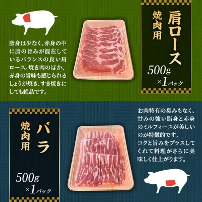 もちぶた 肩ロース 2種 各500g 詰め合わせ セット[53751175]