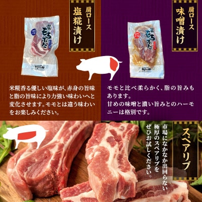 もちぶた 加工品 5種 詰め合わせ セット[53751176]