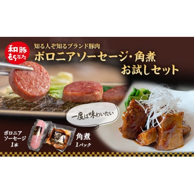 もちぶた お試し 加工品 セット こだわりのちょっと贅沢を[53751221]