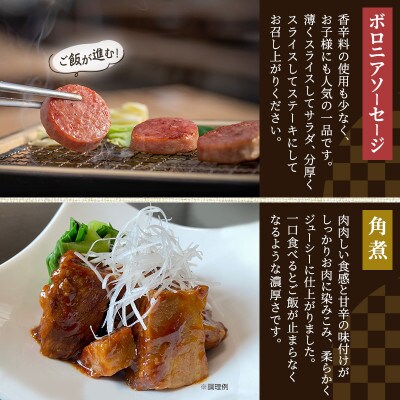 もちぶた お試し 加工品 セット こだわりのちょっと贅沢を[53751221]