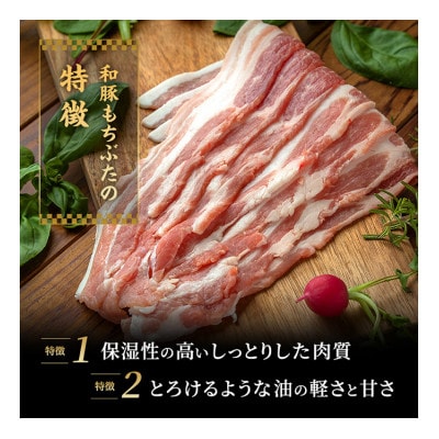 もちぶた お試し モモ バラ 焼き肉用 セット こだわりのちょっと贅沢を[53751222]