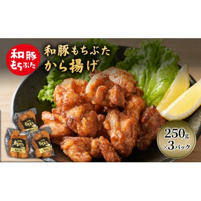 和豚 もちぶた から揚げ 3パック 約250g×3 [53752795]