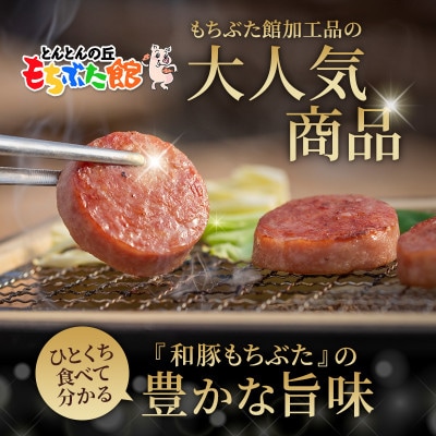 和豚 もちぶた ボロニアソーセージ 300g×2本[53752810]