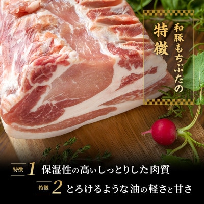 和豚 もちぶた ボロニアソーセージ 300g×2本[53752810]