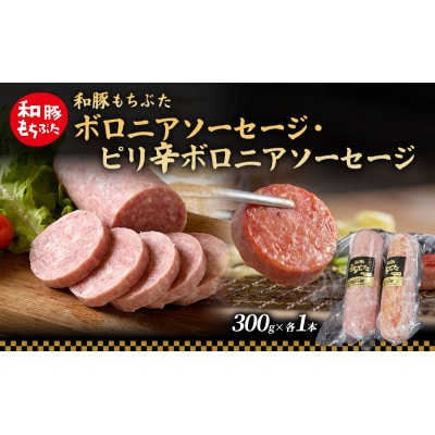 和豚 もちぶた ボロニア ピリ辛ボロニアソーセージセット 各1本[53752811]