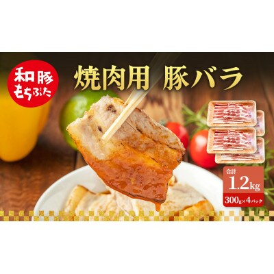 焼肉用 豚バラ 和豚 もちぶた 300g×4[53753507]
