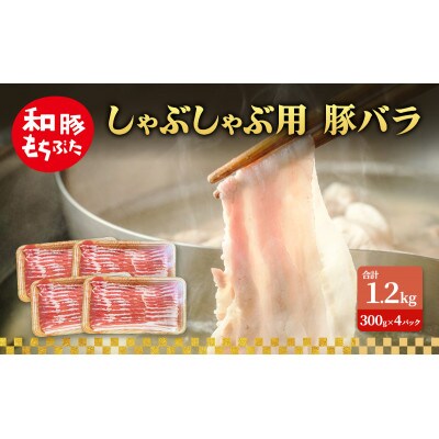 しゃぶしゃぶ用 豚バラ 和豚 もちぶた 300g×4 [53753502]