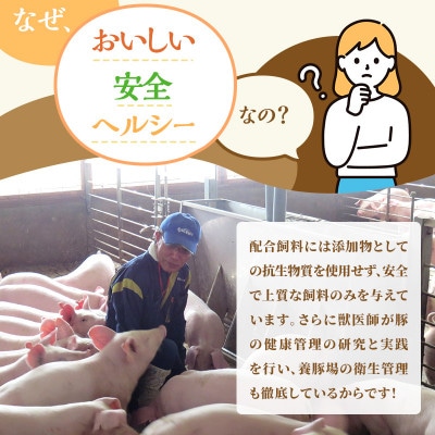 焼肉用 豚バラ 和豚 もちぶた 200g×3[53753506]