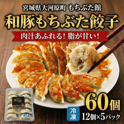 和豚もちぶた 餃子 60個 (12個×5P)[53753706]