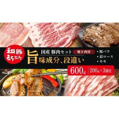 和豚もちぶた お試しセット 焼肉用 600g(200g×3部位)[53753581]