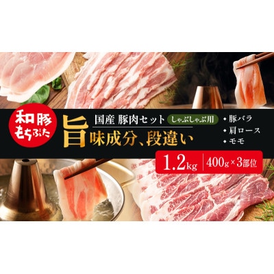 和豚もちぶた お試しセット しゃぶしゃぶ用 1200g(400g×3部位)[53753583]