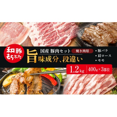 和豚もちぶた お試しセット 焼肉用 1200g(400g×3部位)[53753584]