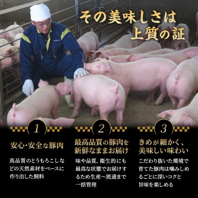 和豚もちぶた お試しセット しゃぶしゃぶ用 2400g(800g×3部位)[53753586]