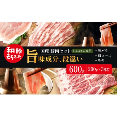和豚もちぶた お試しセット しゃぶしゃぶ用 600g(200g×3部位)[53753580]