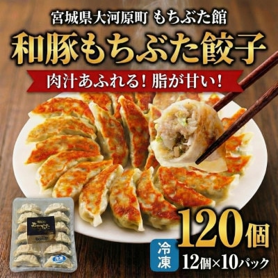 和豚もちぶた 餃子 120個 (12個×10P)[53753707]