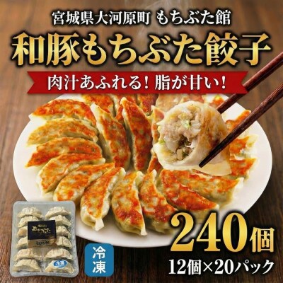和豚もちぶた 餃子 240個 (12個×20P)[53753708]