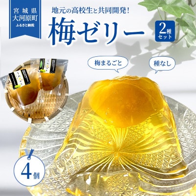 [53751985]大河原の梅と清水のゼリー うめ果りり 4個入り