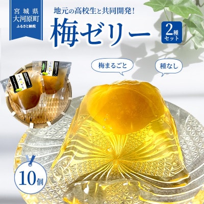 [53751986]大河原の梅と清水のゼリー うめ果りり 10個入り