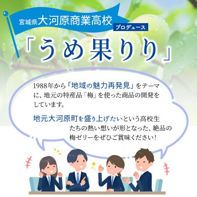 [53751986]大河原の梅と清水のゼリー うめ果りり 10個入り