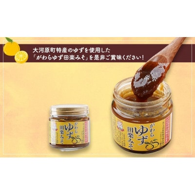 大河原町観光物産協会「がわらゆず田楽みそ」2個セット [53753436]