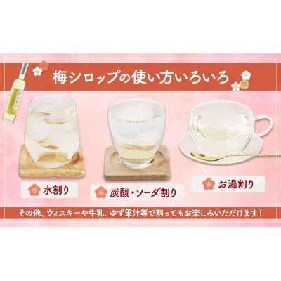 大河原町観光物産協会　特産品Fセット [53753438]