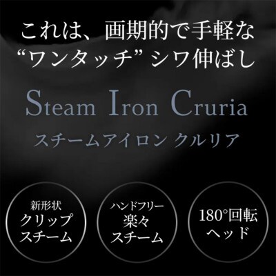 衣類スチームアイロン 180度回転ヘッドSunruck SR-HT2002-GR[53753651]