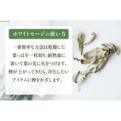 ハーブ Tasshas 北海道産 ホワイトセージ 8g [12260851]