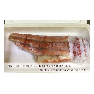 ボイルタラバシュリンク特5L1肩[53680426]