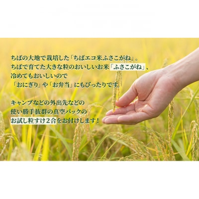 ふさこがね　真空パック　10キロ+粒すけ2合　無洗米[53680578]