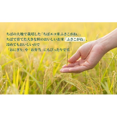 ふさこがね　真空パック　10キロ　無洗米[53680578]