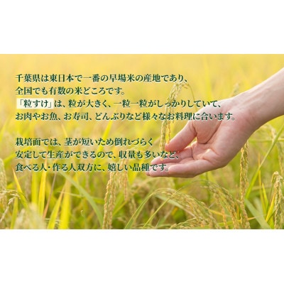 粒すけ　真空パック　10キロ　無洗米[53680590]