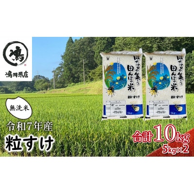 新米　令和7年 粒すけ 10kg ( 5kg×2 ) 千葉産 乾式 無洗米[53680046]