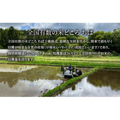 新米　令和7年 粒すけ 10kg ( 5kg×2 ) 千葉産 乾式 無洗米[53680046]