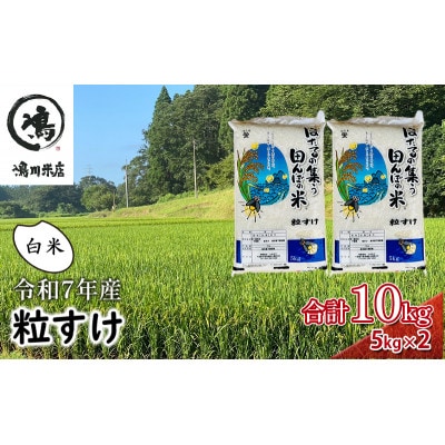 新米　令和7年 粒すけ 10kg ( 5kg×2 ) 千葉産 白米[53680047]