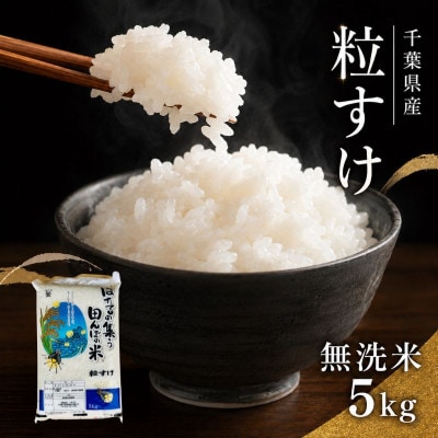 無洗米 粒すけ 5kg  精米 白米[53680048]